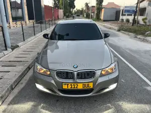 BMW 3 Series 2010 Gold