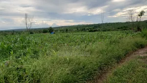 Shamba La Ekari 10 Liauzwa Bago Kiwangwa Bagamoyo