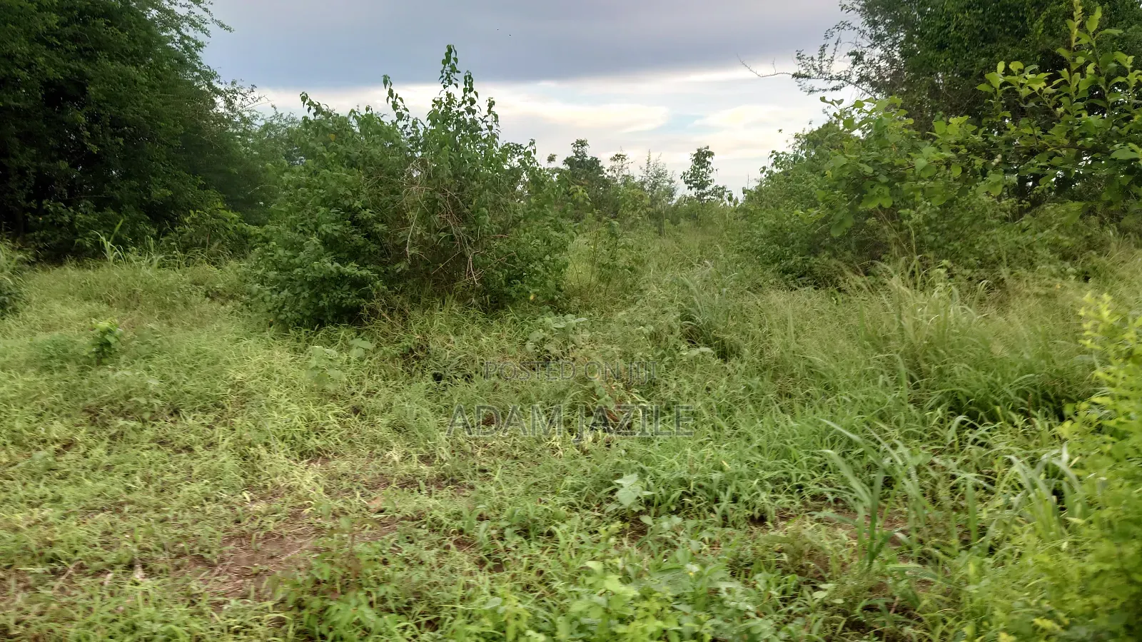 Shamba La Ekari 10 Liauzwa Bago Kiwangwa Bagamoyo