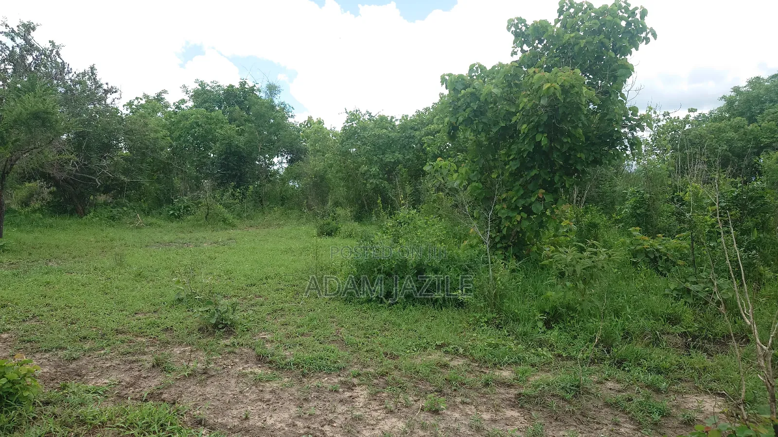 Shamba La Ekai 100 Linauzwa Mwetemo Bagamoyo