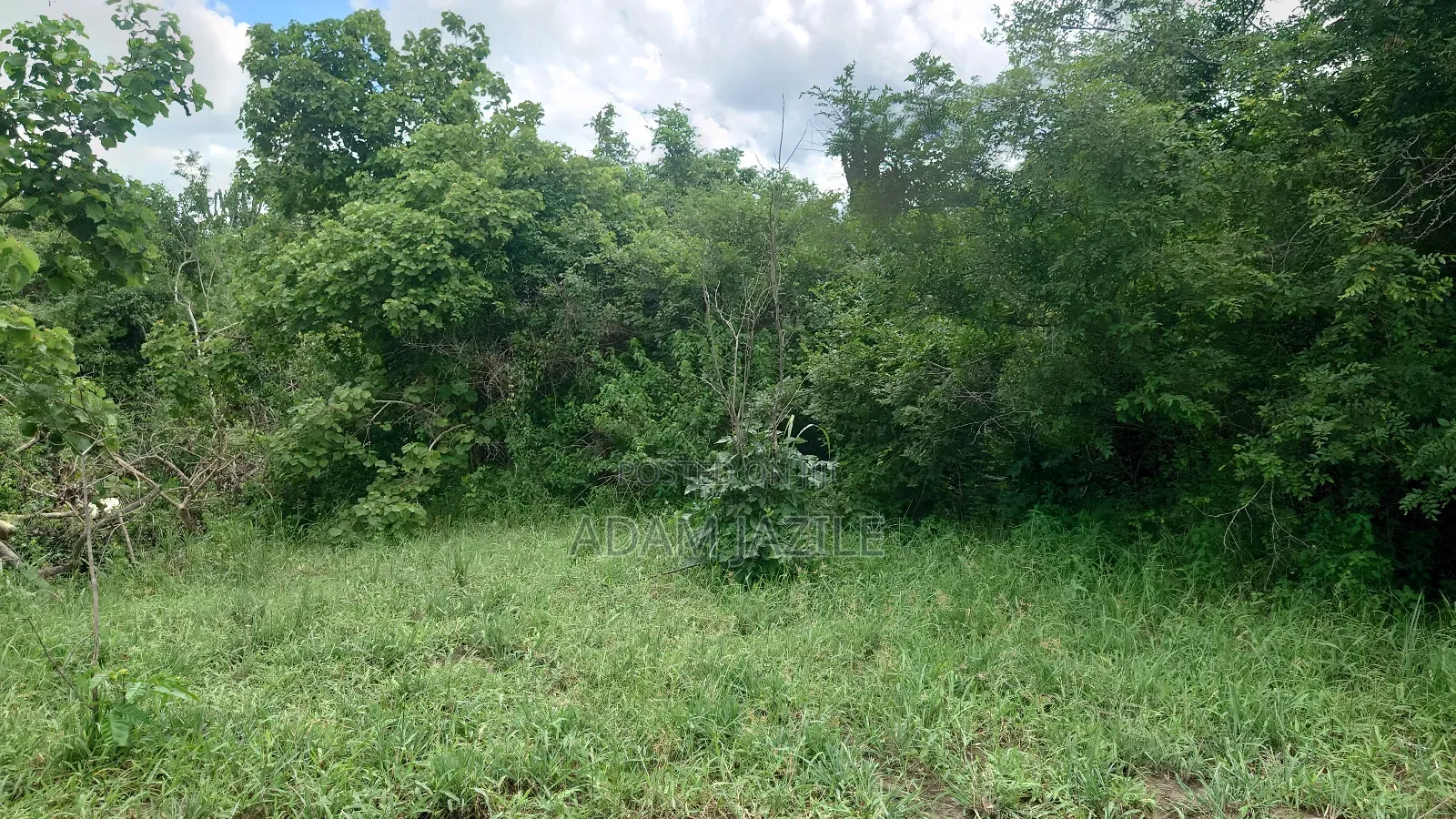 Shamba La Ekai 100 Linauzwa Mwetemo Bagamoyo