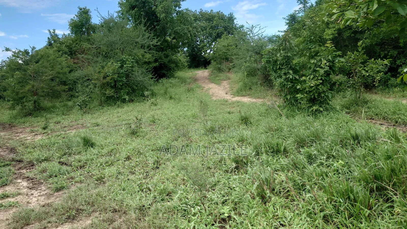 Shamba La Ekai 100 Linauzwa Mwetemo Bagamoyo