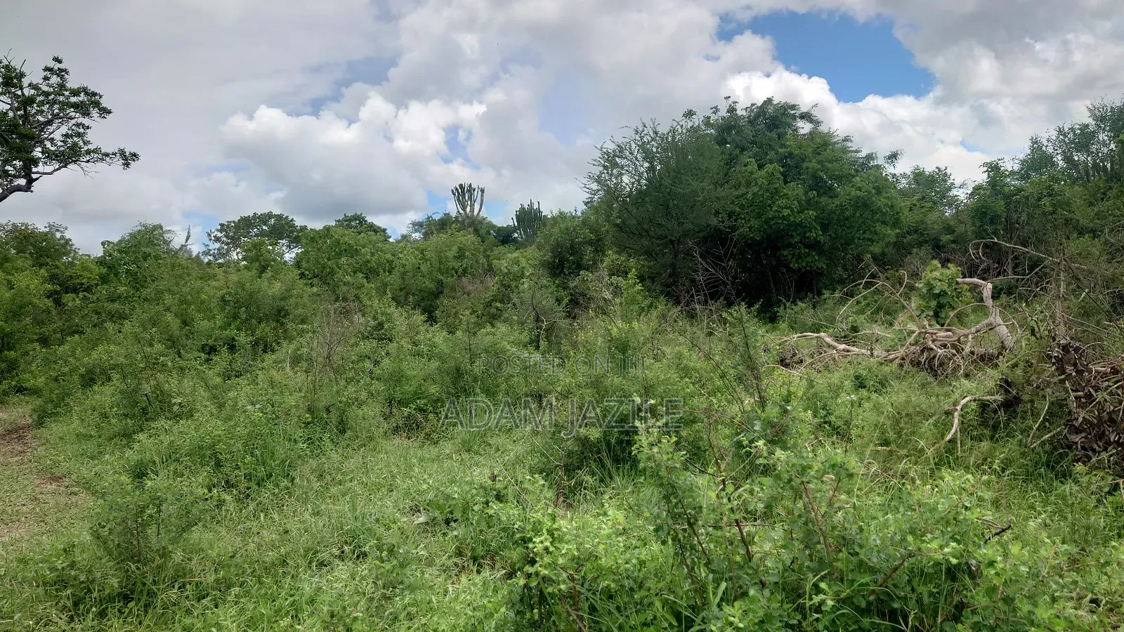 Shamba La Ekai 100 Linauzwa Mwetemo Bagamoyo