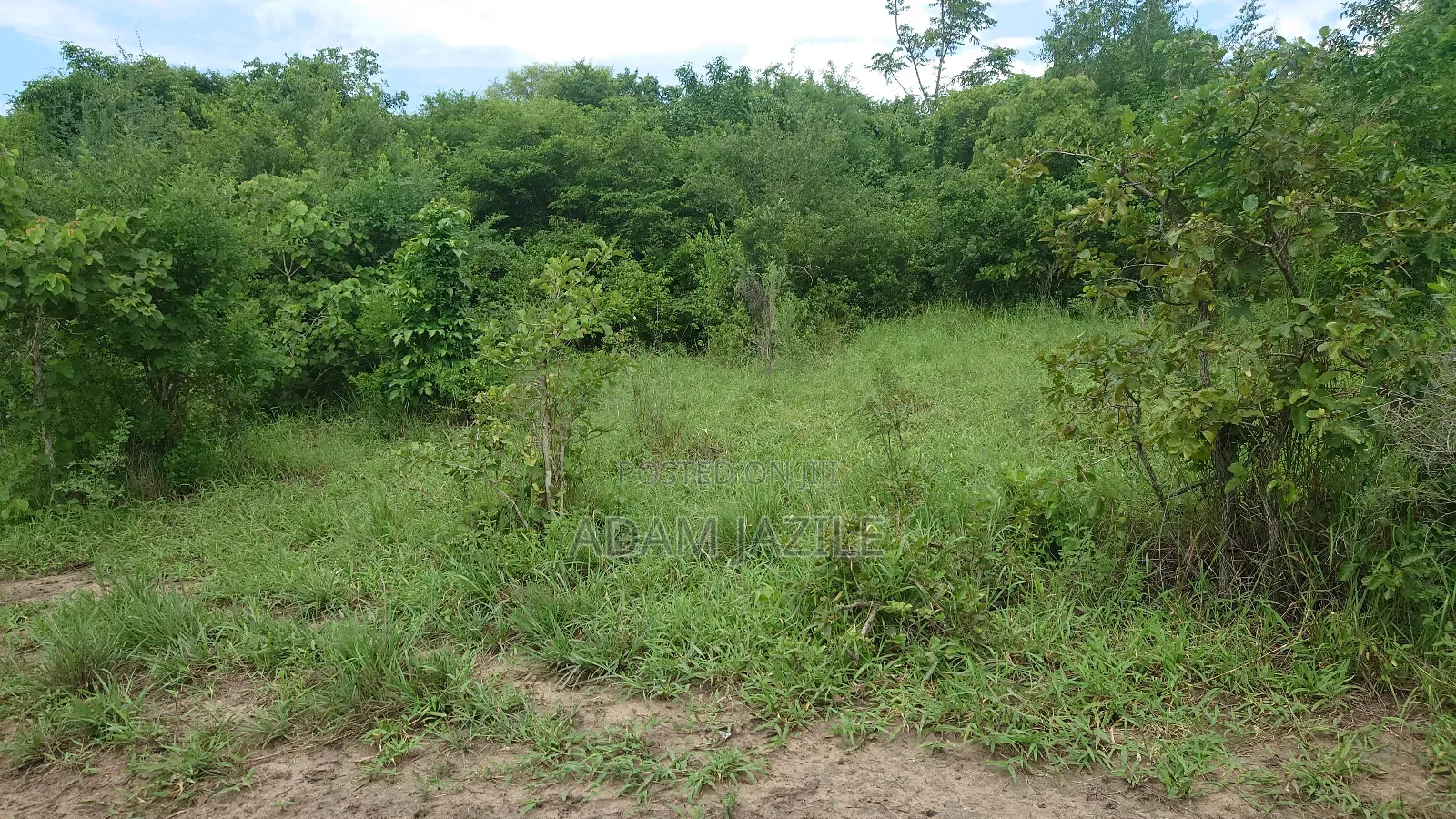 Shamba La Ekai 100 Linauzwa Mwetemo Bagamoyo