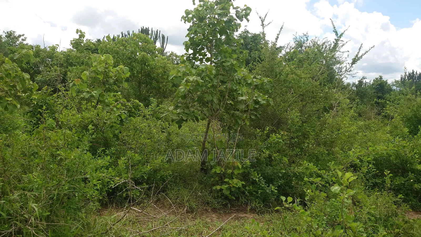 Shamba La Ekai 100 Linauzwa Mwetemo Bagamoyo