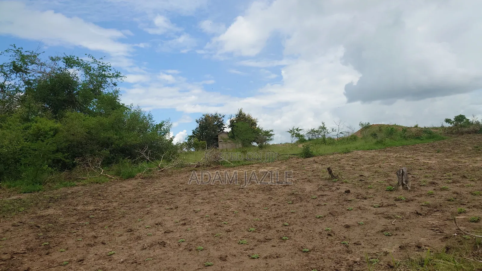 Shamba La Ekai 100 Linauzwa Mwetemo Bagamoyo