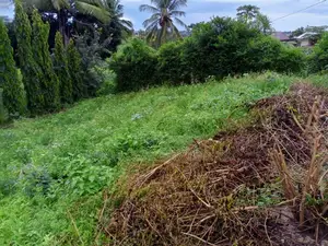 Kiwanja Kinauzwa Mbezi Msakuzi