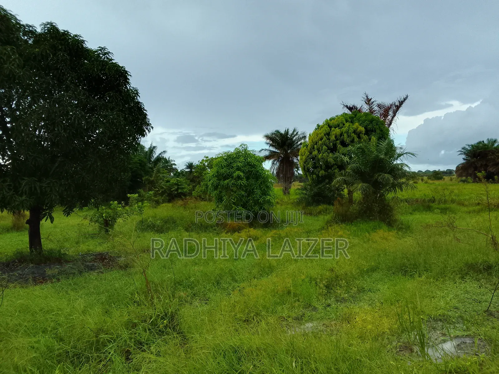 Plot For Sale In Kigamboni Mwasonga