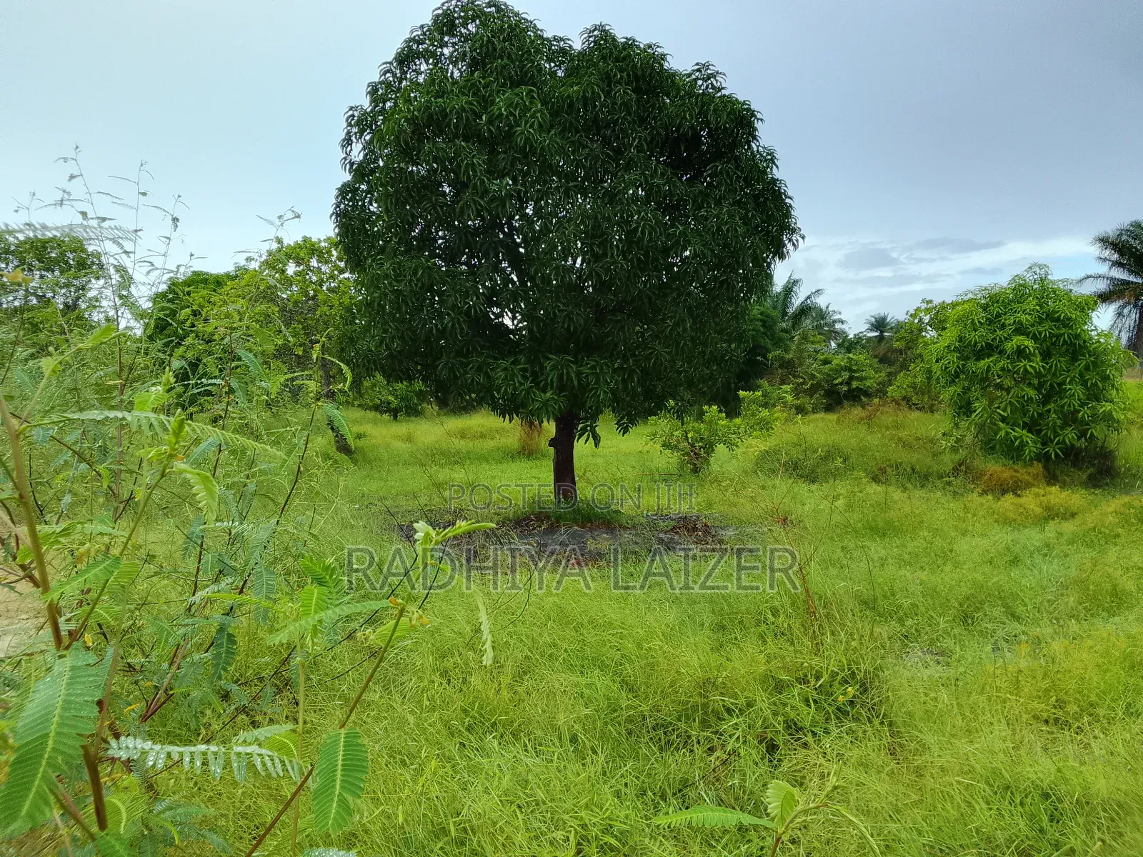 Plot For Sale In Kigamboni Mwasonga