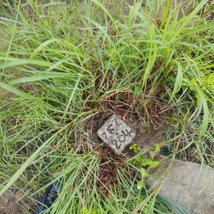 Plot for Sale at Kibaha Maili Moja