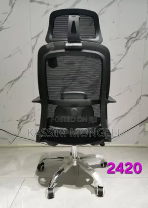 Ergonomic Chairs