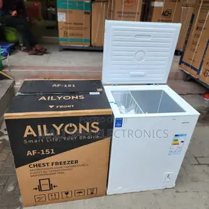 Ailyons Freezer Liter 100