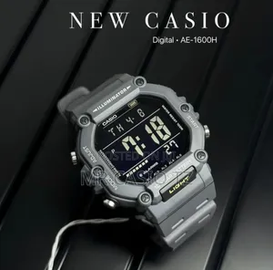 Casio Ws-1600h-8avdf