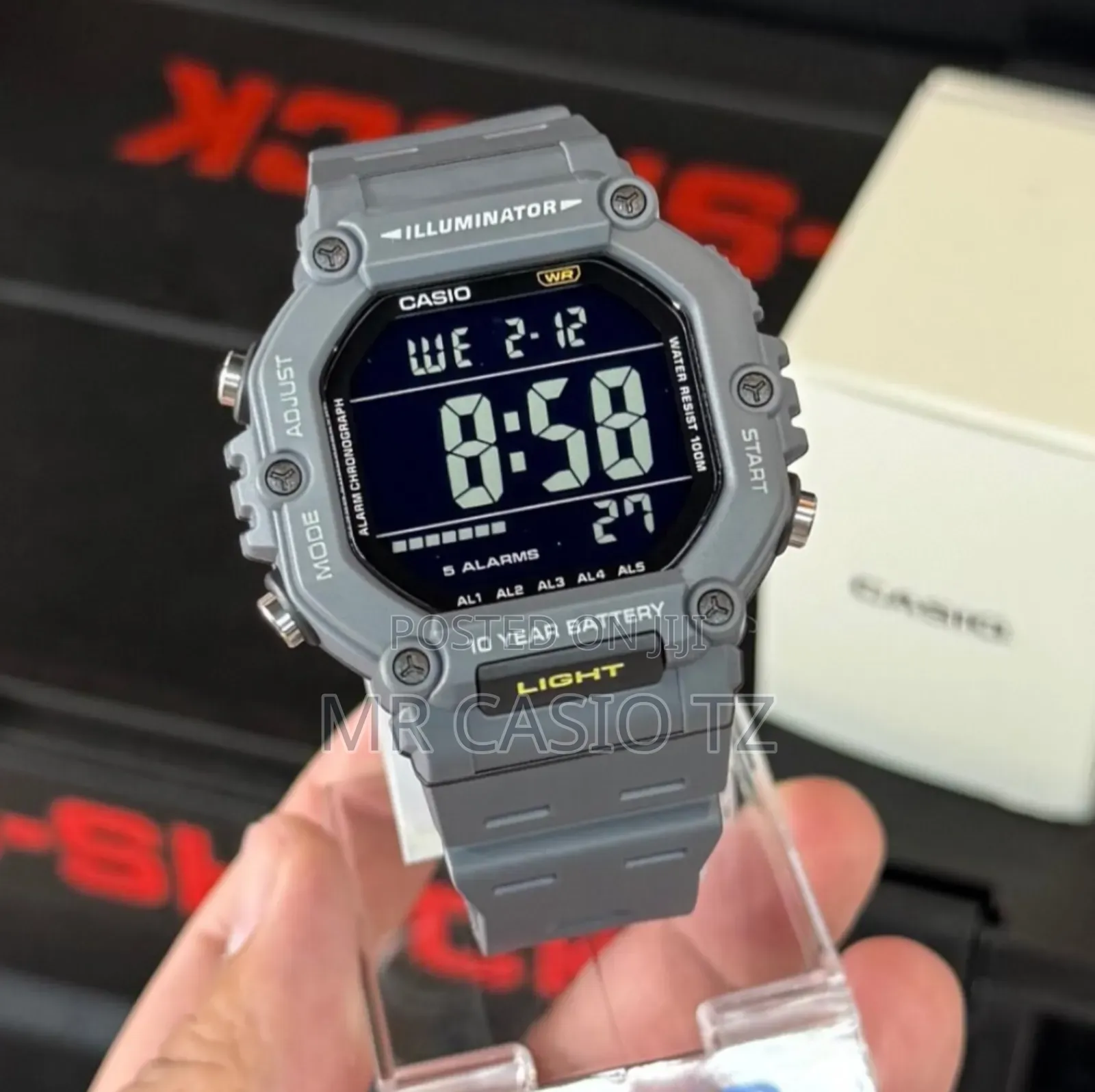 Casio Ws-1600h-8avdf