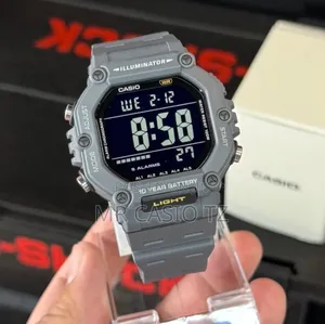 Casio Ws-1600h-8avdf