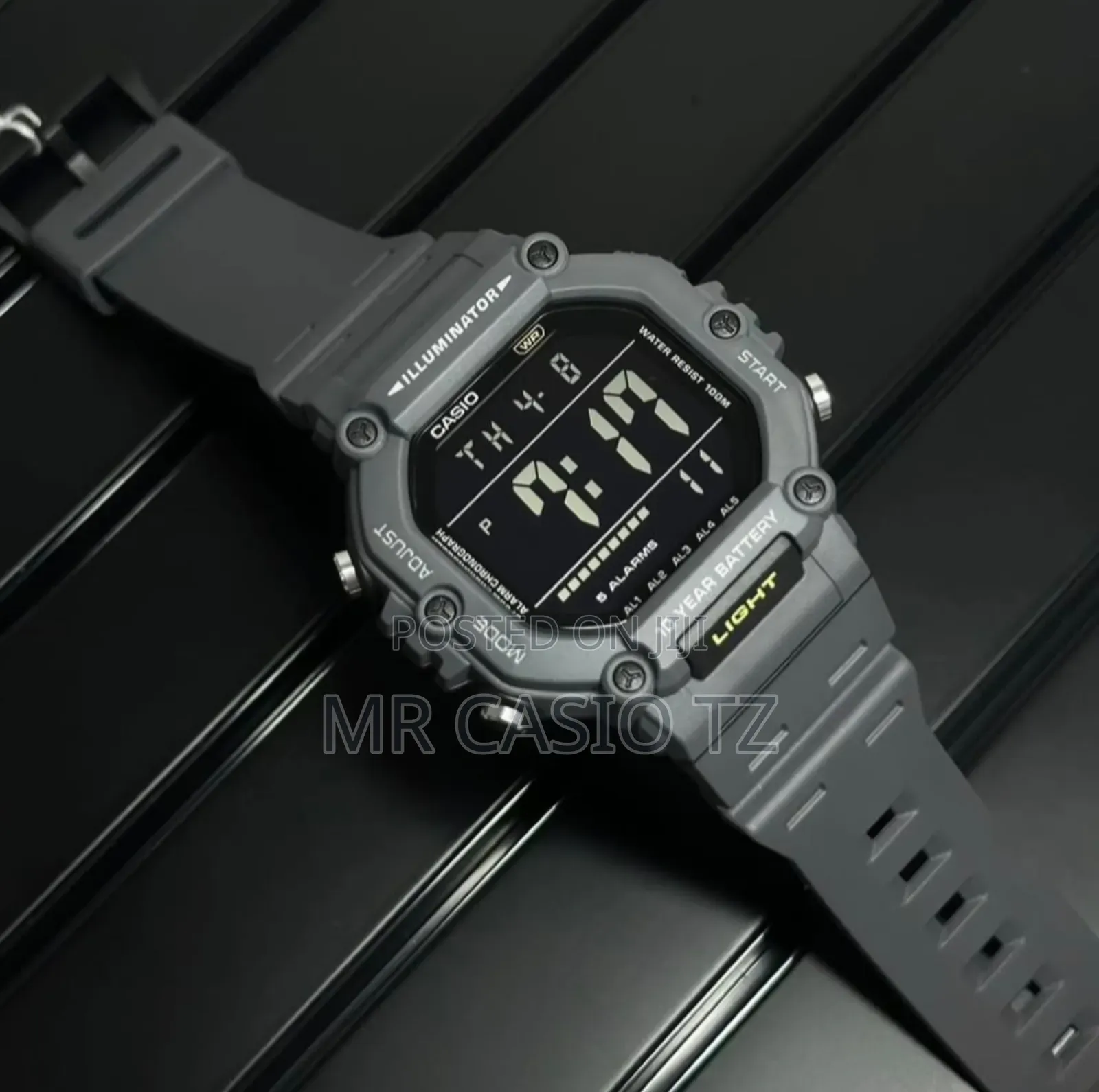 Casio Ws-1600h-8avdf