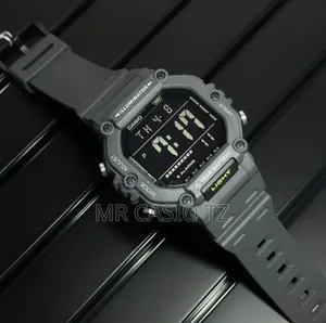 Casio Ws-1600h-8avdf
