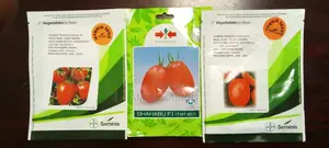 Tomatoes Seeds