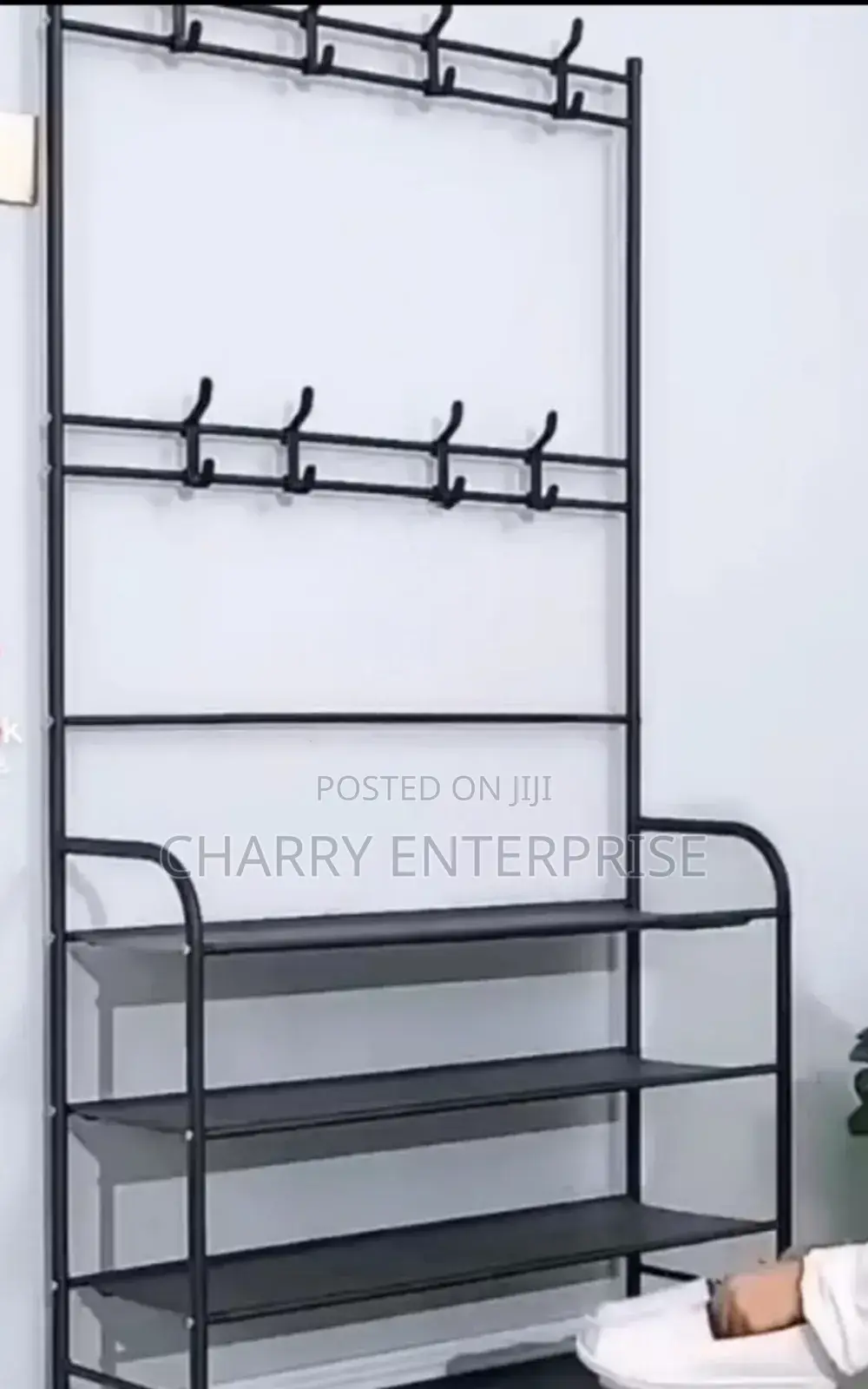 Multifunctional Coat and Shoe Rack With a Metal Frame