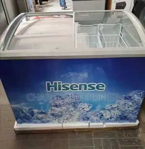 HISENCE Frezeer