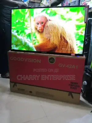 GOODVISION Smart Tv 42 Inches