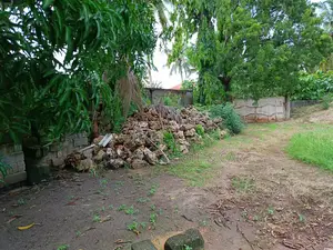Plot for Sale Mbezi Beach Kwa Mwamunyange