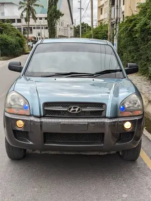 Hyundai Tucson 2008 Blue