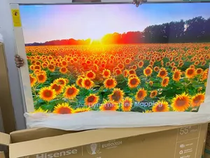 Hisense 55-Inches U6n Pro Series Uled Miniled Tv