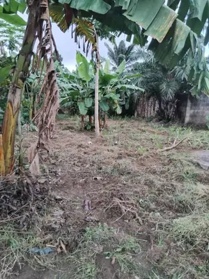Plot for Sale Kibaha Kongowe