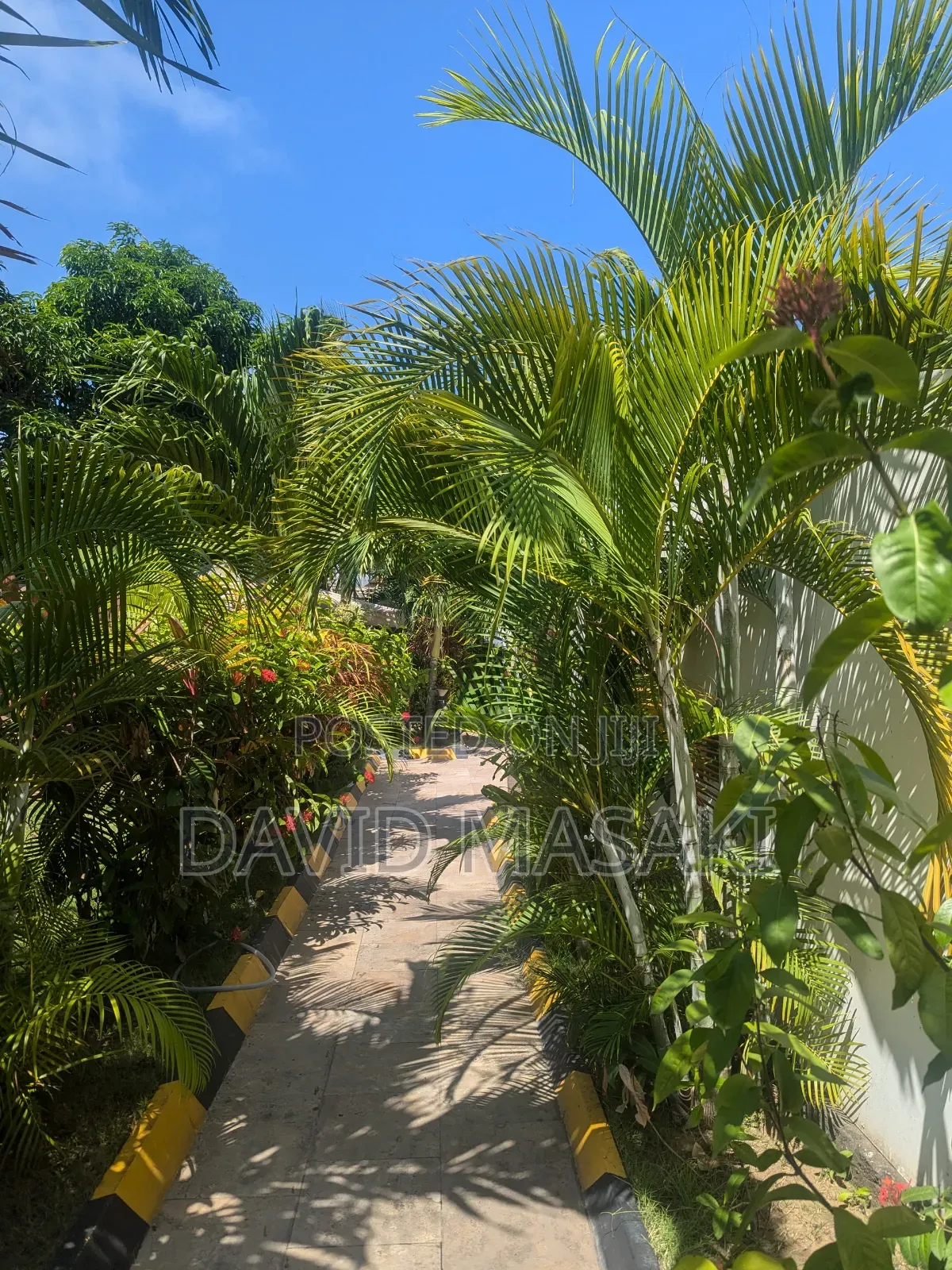 Furnished 3bdrm Apartment in Realtors, Masaki for rent