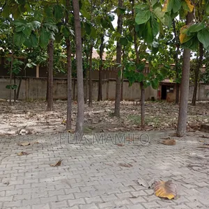 Standlone Paved Yard for Rent at Nyerere Road, Vingunguti