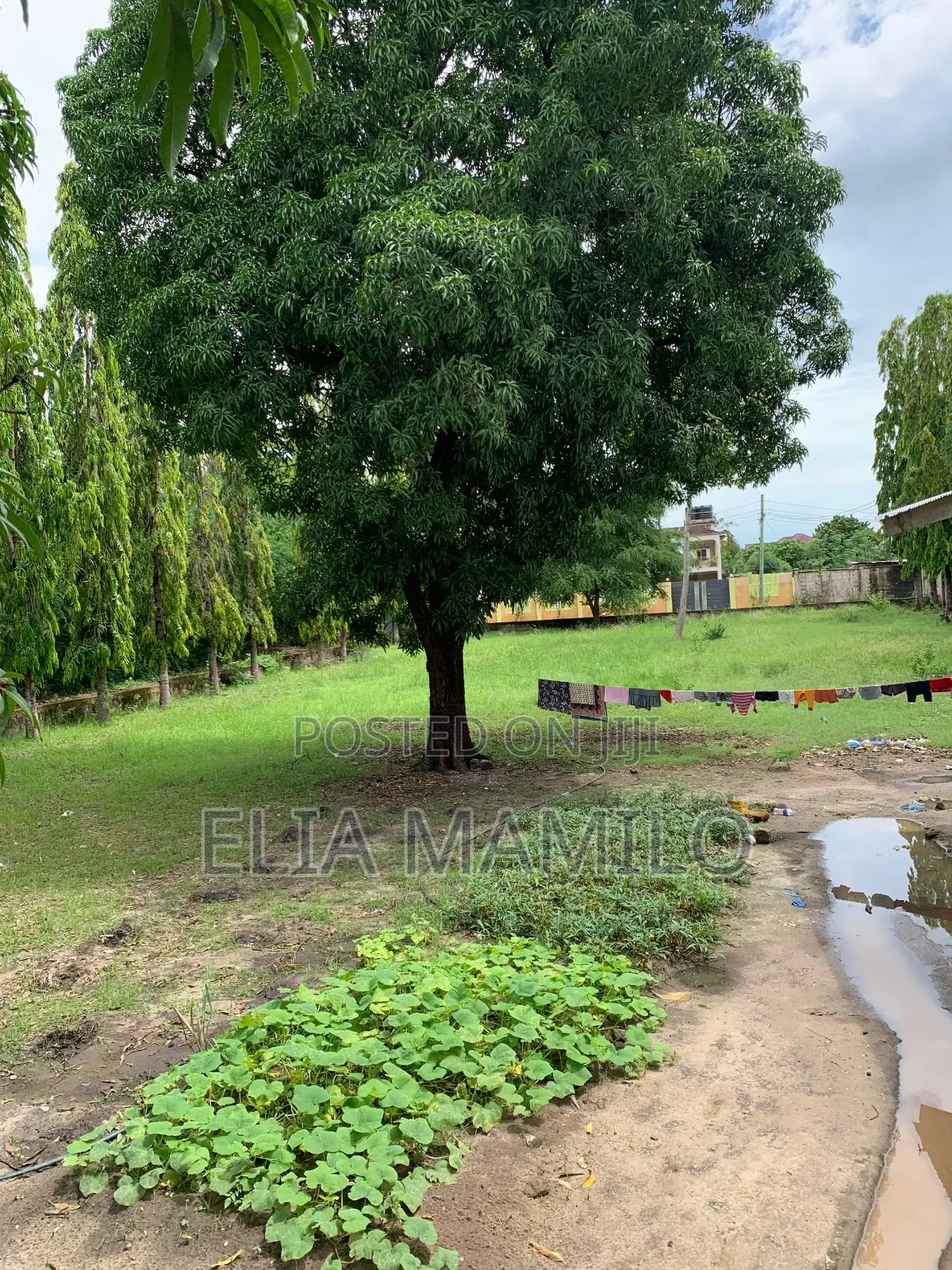 Werehouse for Rent in Dar , Nyerere Road Vingunguti