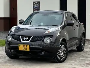 Nissan Juke 2011 Gray