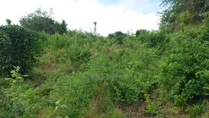Shamba La Ekari 7 Linauzwa Fukayosi Bagamoyo
