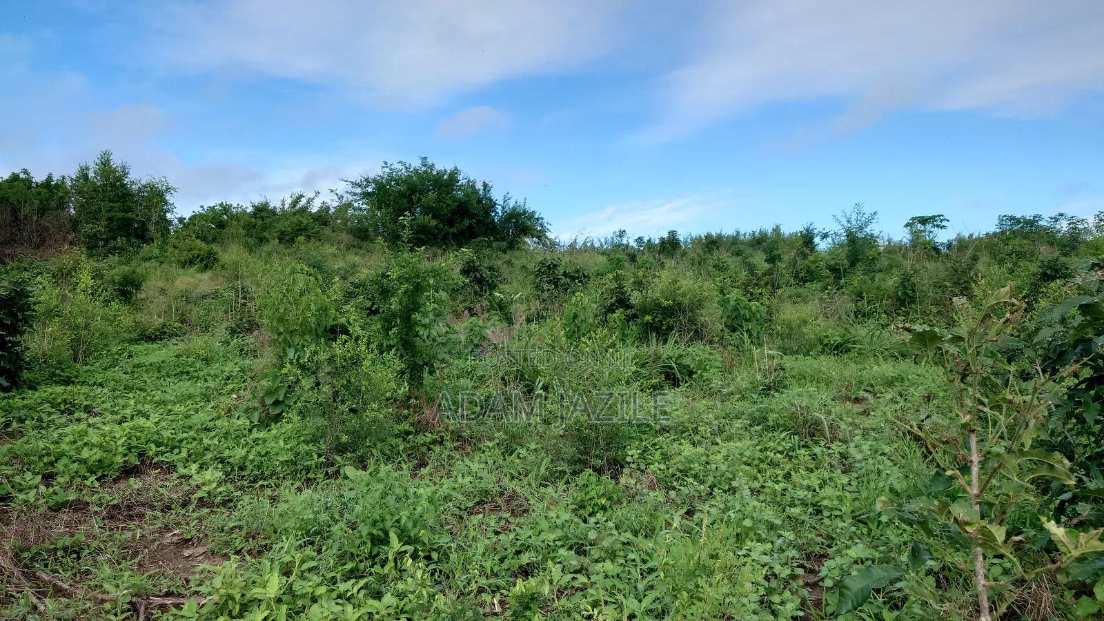 Shamba La Ekari 7 Linauzwa Fukayosi Bagamoyo