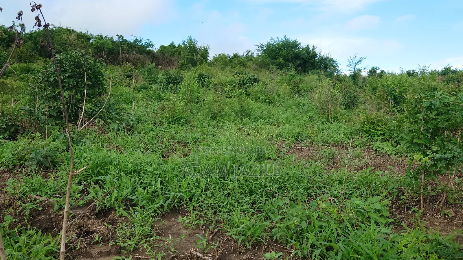 Shamba La Ekari 7 Linauzwa Fukayosi Bagamoyo
