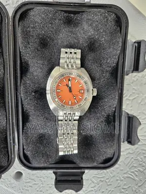 Seestern Sub 300t Watch