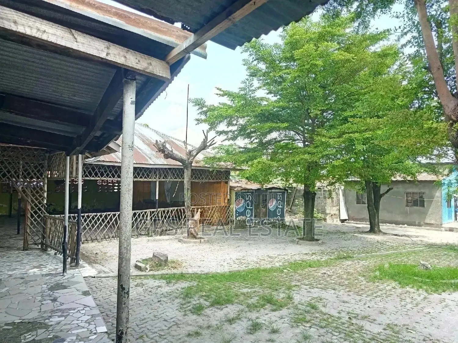 Bar And Ukumbi For Sale