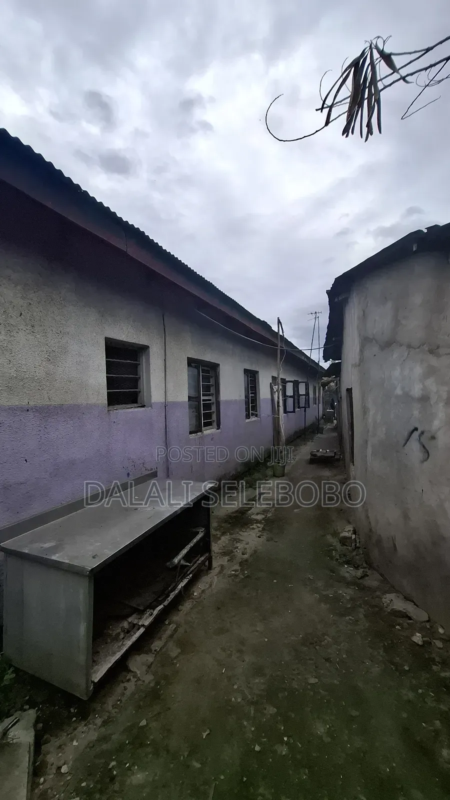 Busness Area 4 Investment It Look Tarmac Big Brother