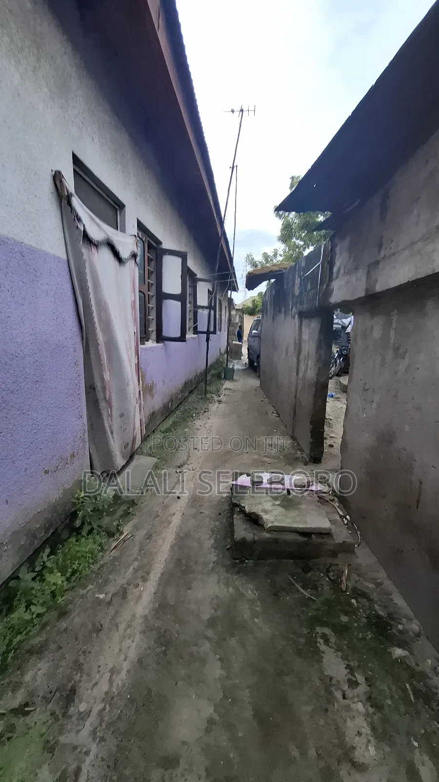 Busness Area 4 Investment It Look Tarmac Big Brother