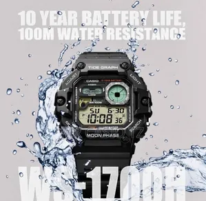 Casio Ws-1700h-8avdf