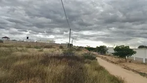 Uwanja Unauzwa Dodoma Hapa Maeneo Ya Kipepeo Apartment