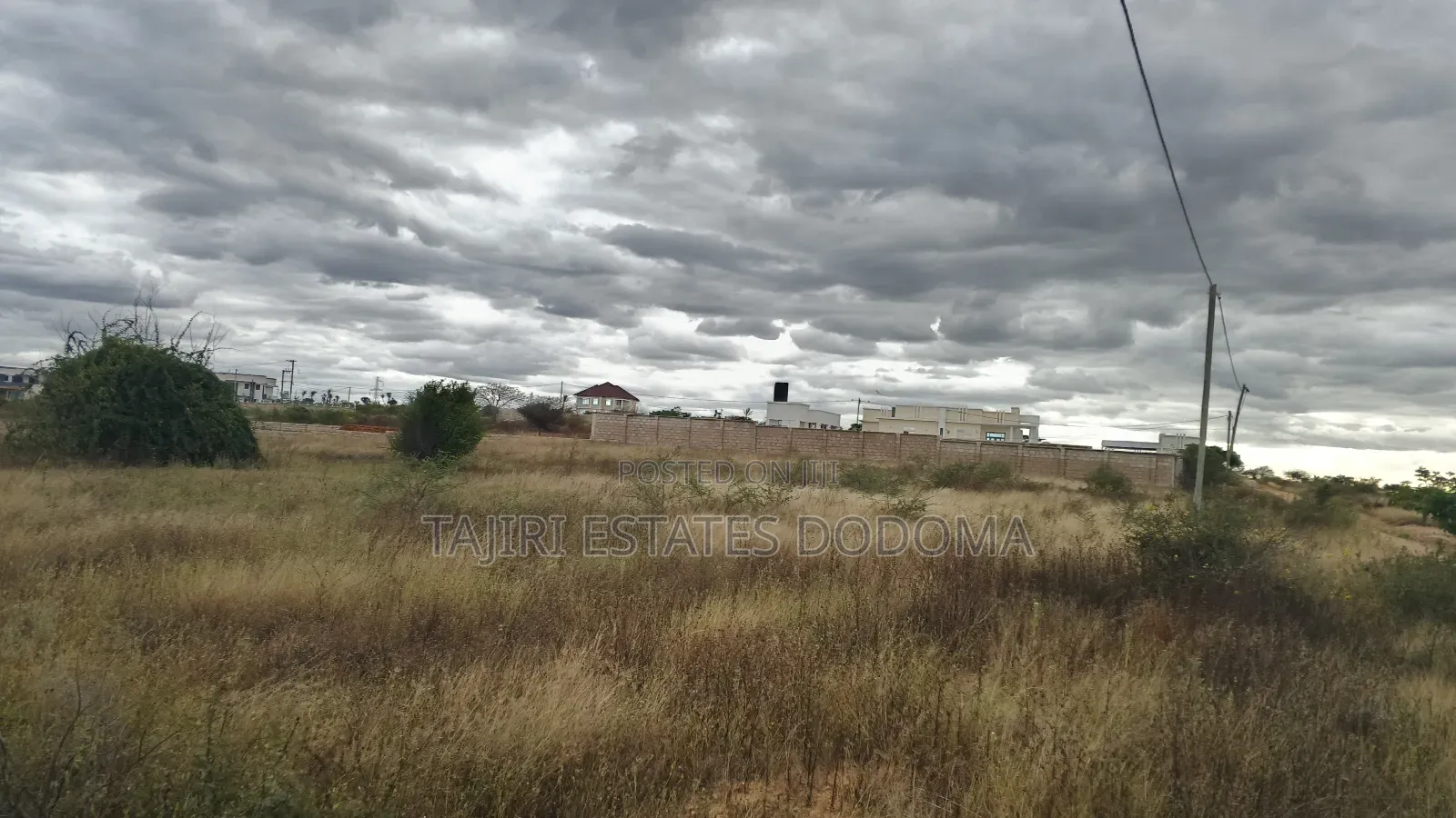 Uwanja Unauzwa Dodoma Hapa Maeneo Ya Kipepeo Apartment