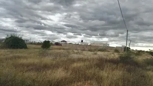 Uwanja Unauzwa Dodoma Hapa Maeneo Ya Kipepeo Apartment