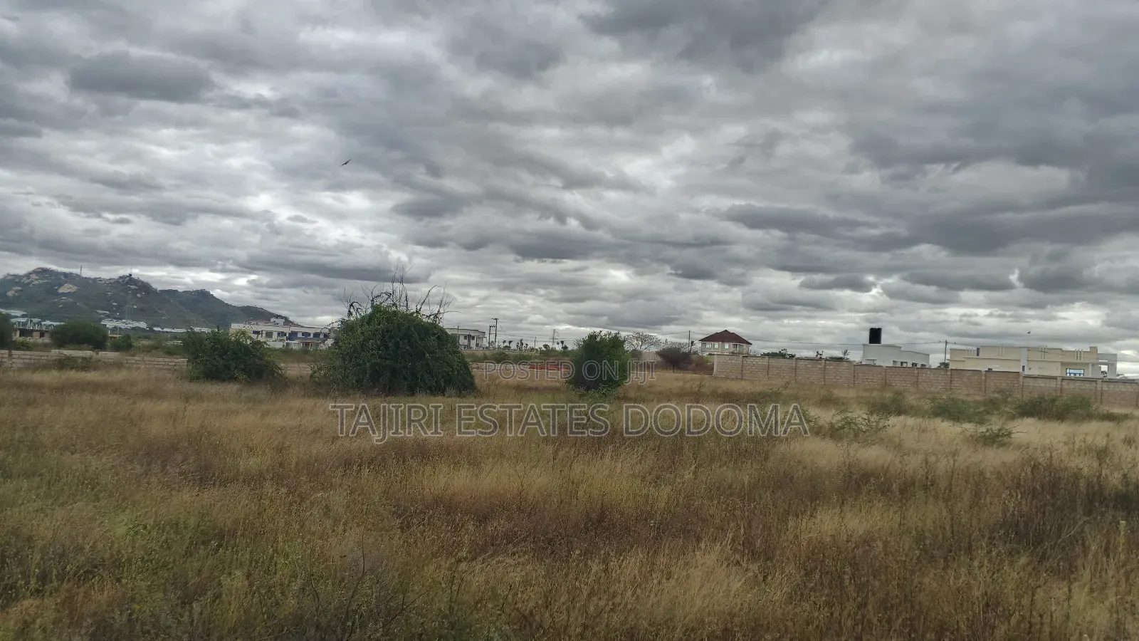 Uwanja Unauzwa Dodoma Hapa Maeneo Ya Kipepeo Apartment