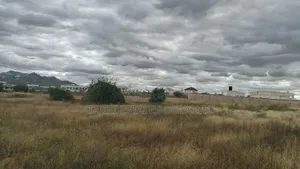 Uwanja Unauzwa Dodoma Hapa Maeneo Ya Kipepeo Apartment
