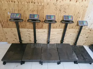Digital Platform Scale