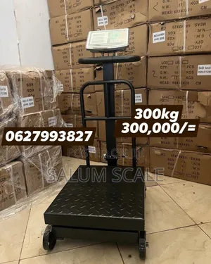 Digital Platform Scale