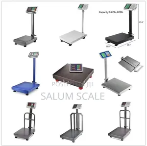 Digital Platform Scale