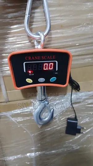 Digital Scale Crane 500kg